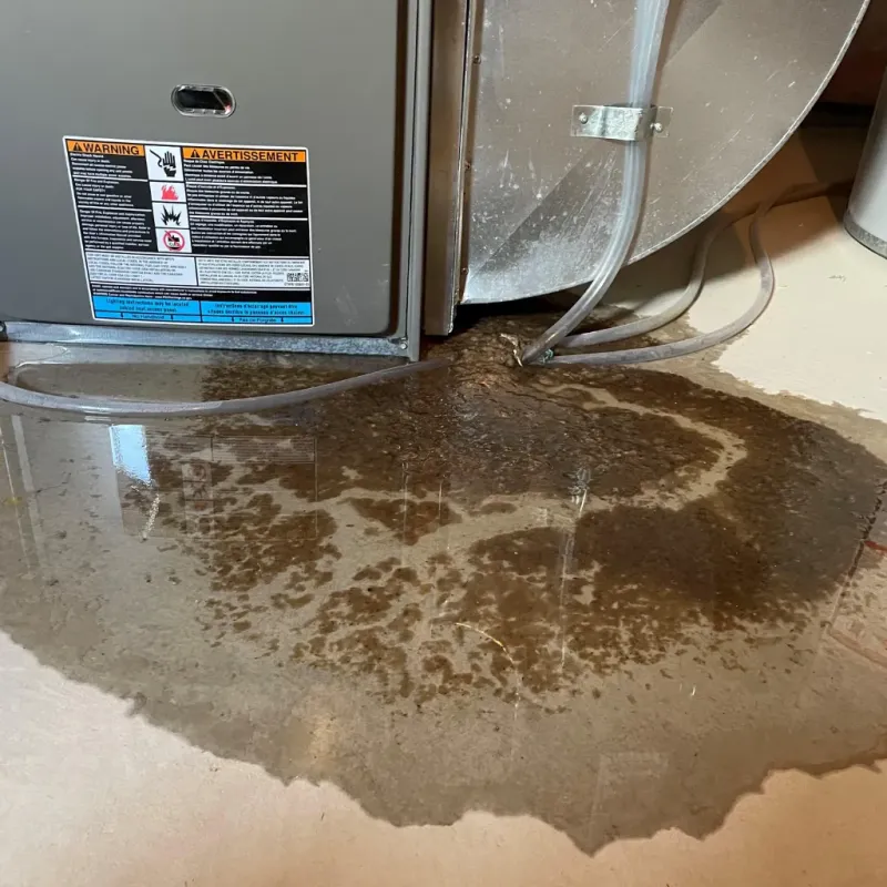 Appliance Leak Cleanup in West Yellowstone, MT